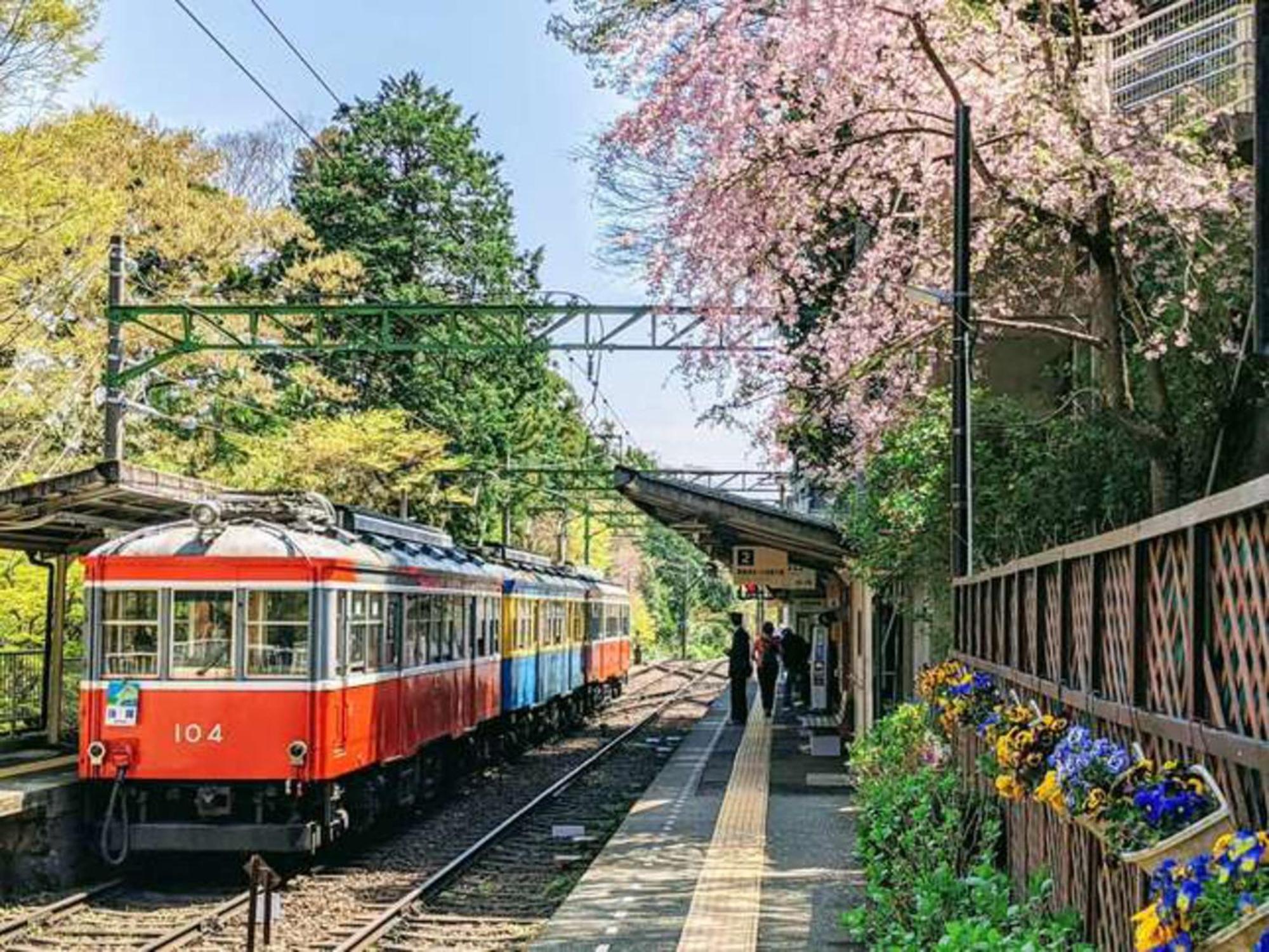 Hotel Morinokaze Hakone Sengokuhara Exteriér fotografie