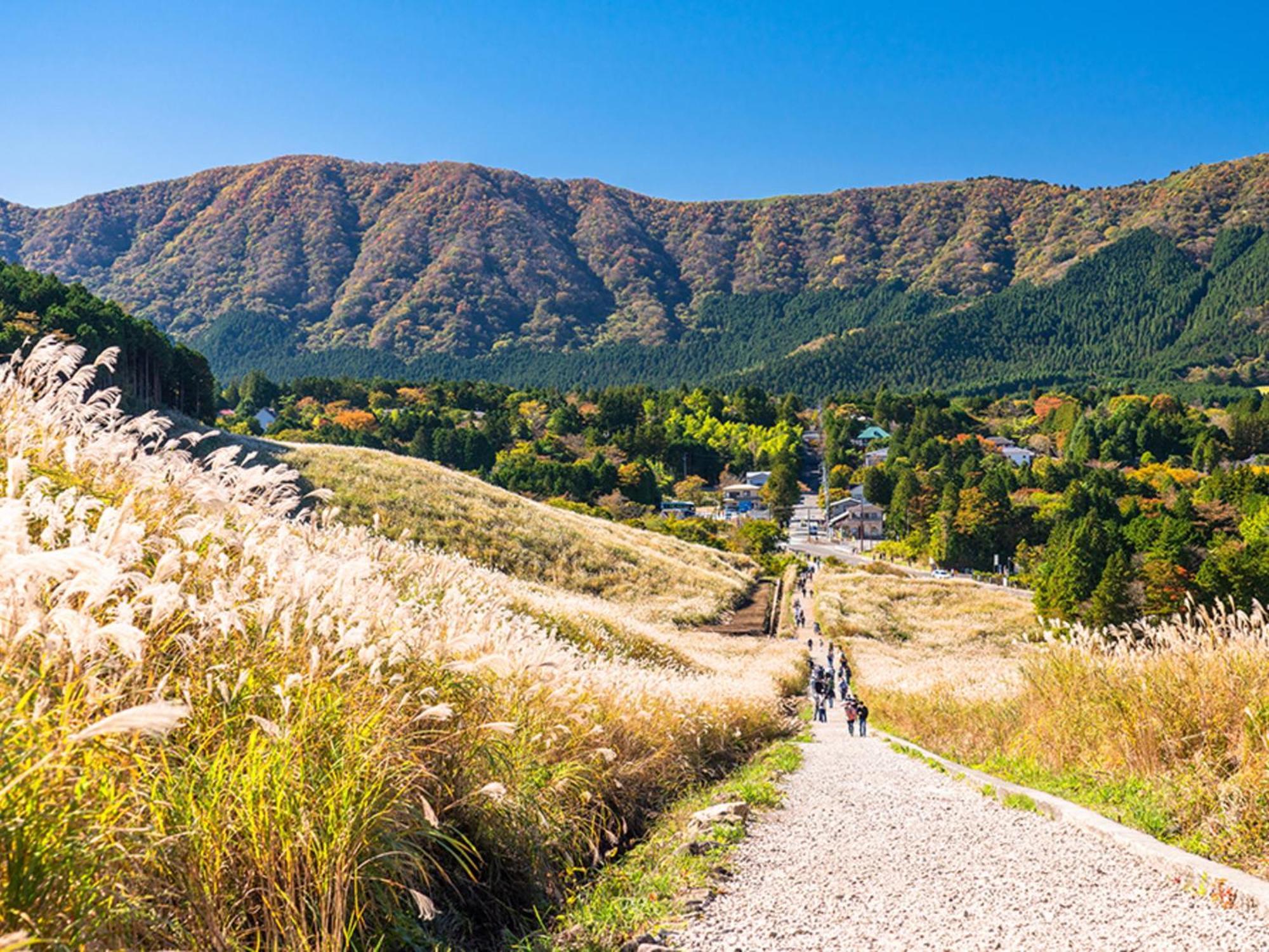 Hotel Morinokaze Hakone Sengokuhara Exteriér fotografie